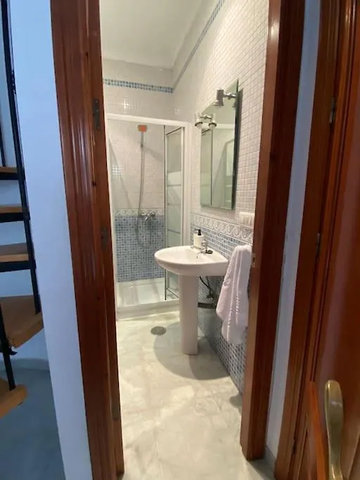 Duplex Con Terraza Privada Apartment Seville Spain